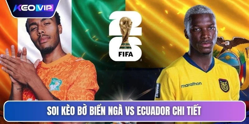 Soi Kèo Bờ Biển Ngà Vs Ecuador Vào Lúc 06h00 Ngày 15/06 5 Soi kèo Bờ Biển Ngà vs Ecuador chi tiết